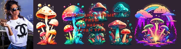 сатива Володарск