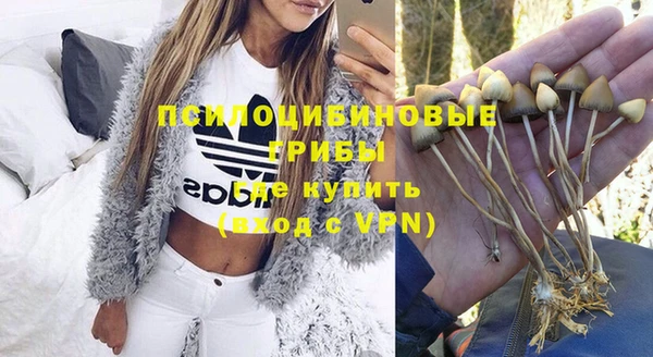 мдпв Волоколамск