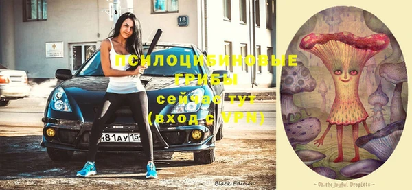 мдпв Волоколамск