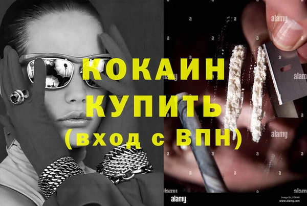 сатива Володарск