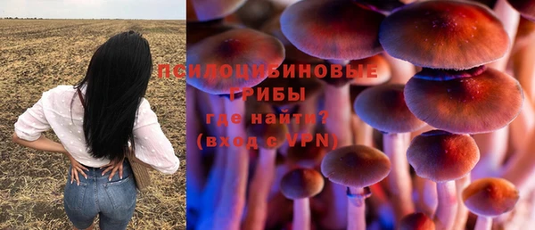 сатива Володарск