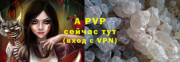 сатива Володарск