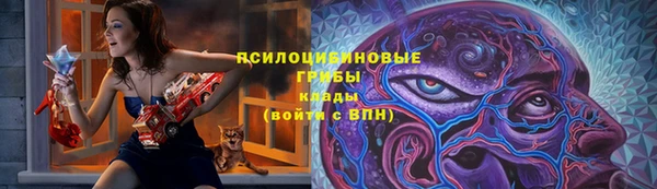 мдпв Волоколамск