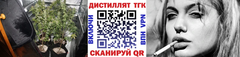 Купить где  Краснозаводск  ТГК гашишное масло 