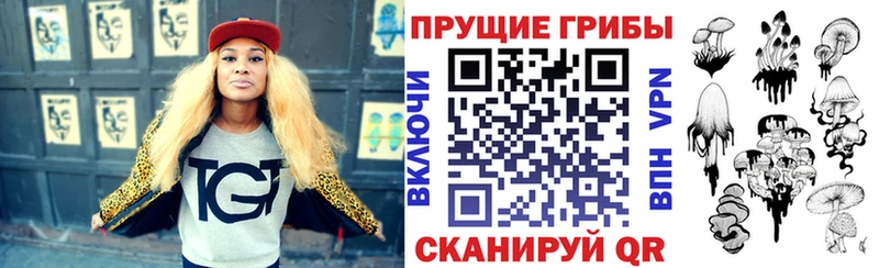 Купить закладки  Краснозаводск  Галлюциногенные грибы ЛСД 